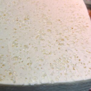 Queso tipo Palmita 500g